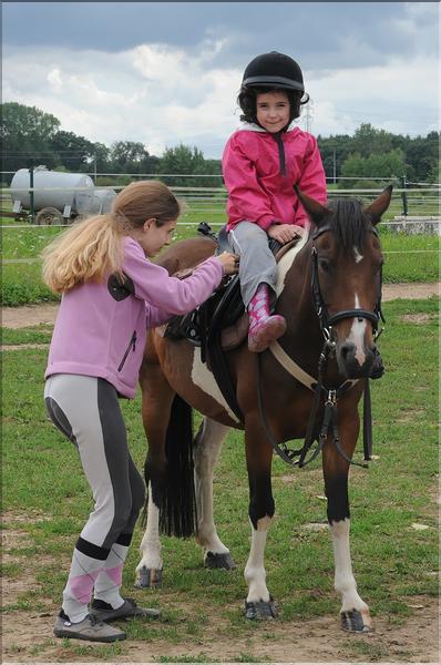 attelage touristique (2)