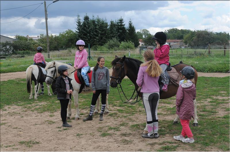 attelage touristique (3)