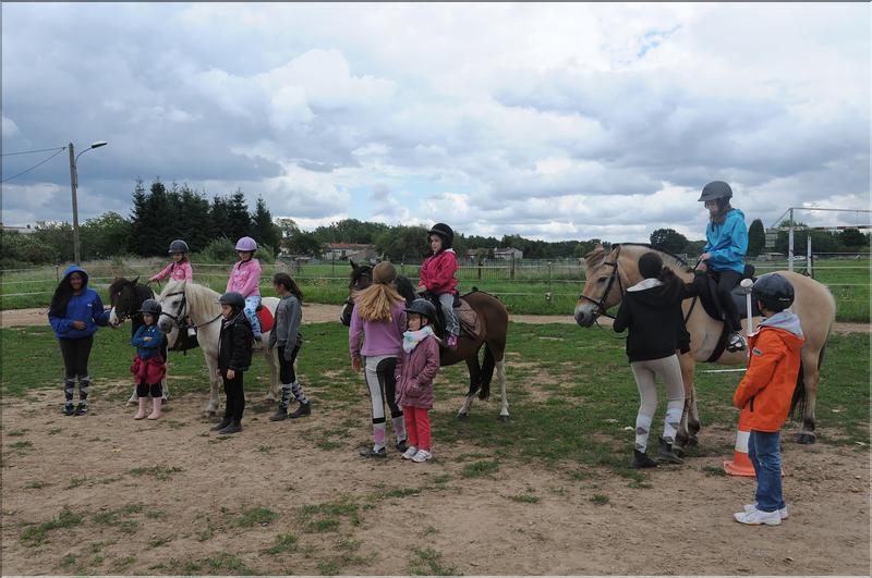 attelage touristique (4)