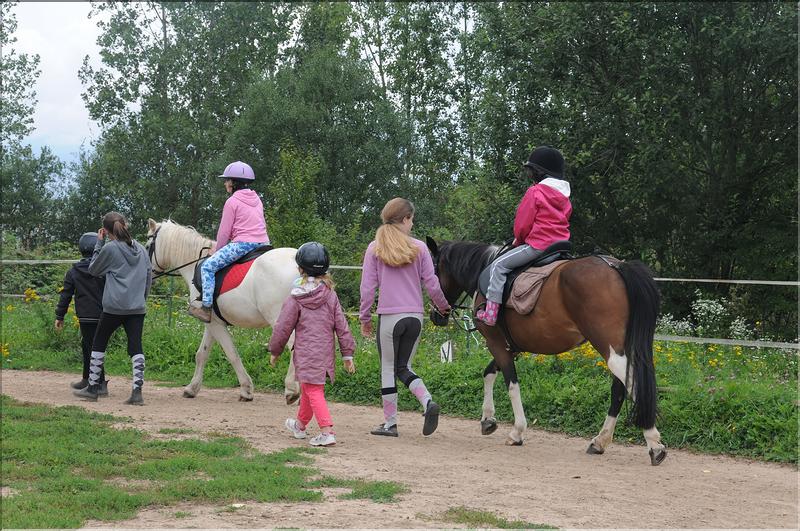 attelage touristique (5)