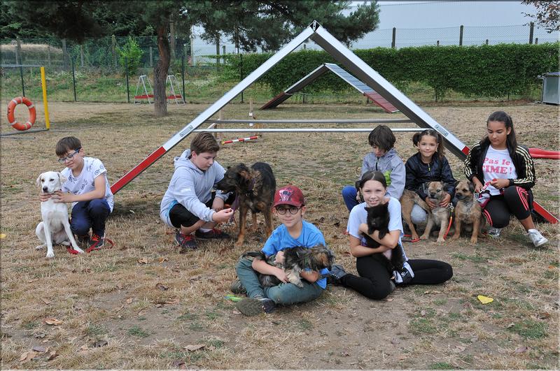 training canin (10)