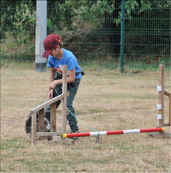 training canin (15)