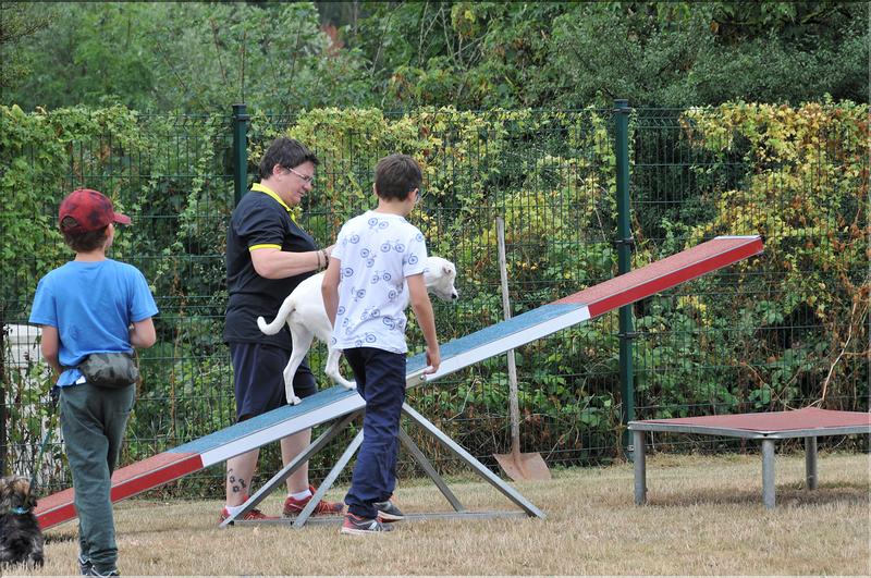 training canin (16)