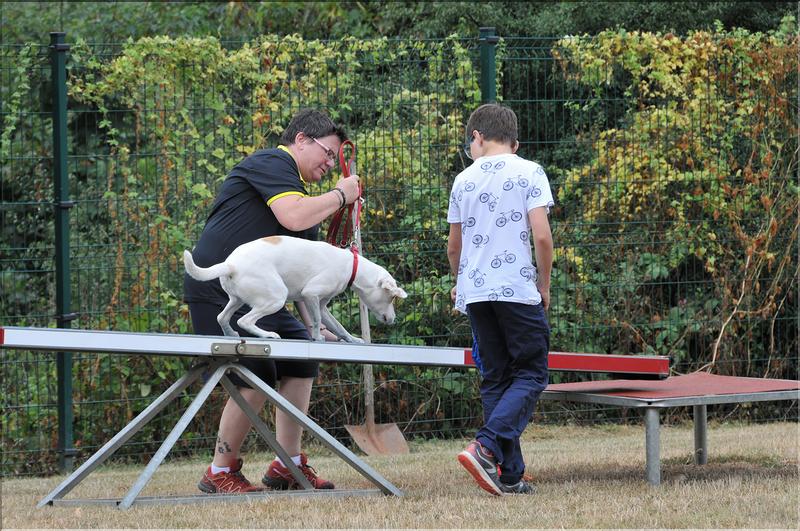 training canin (17)