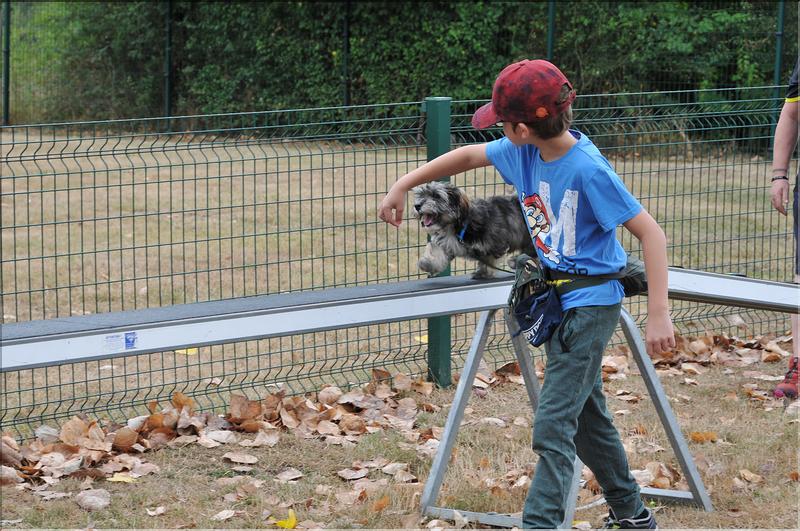 training canin (19)