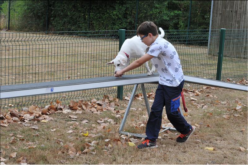 training canin (20)