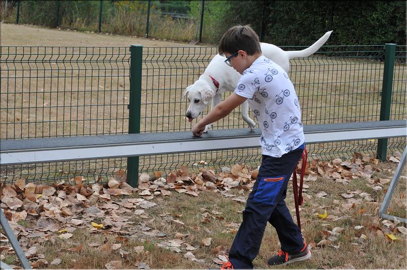 training canin (21)