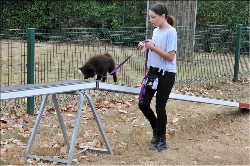 training canin (22)