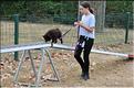 training canin (22)