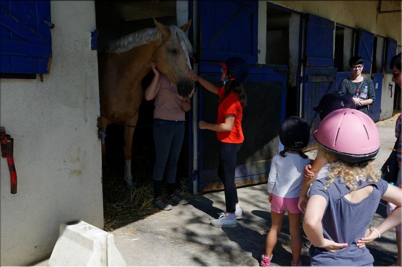 equitation (2)