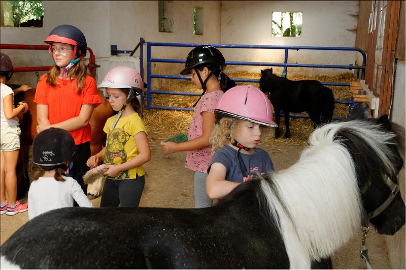 equitation (8)