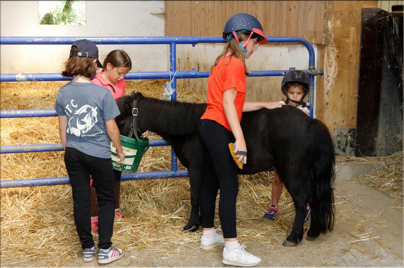 equitation (12)