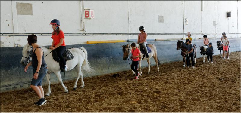 equitation (20)