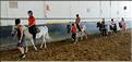 equitation (20)
