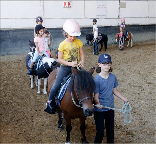 equitation (24)