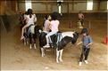 equitation (42)