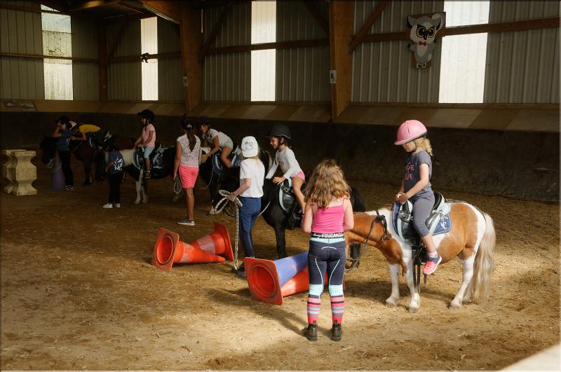 equitation (44)