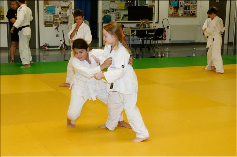 judo (16)