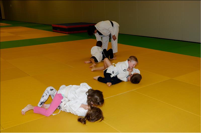 dojo (1)