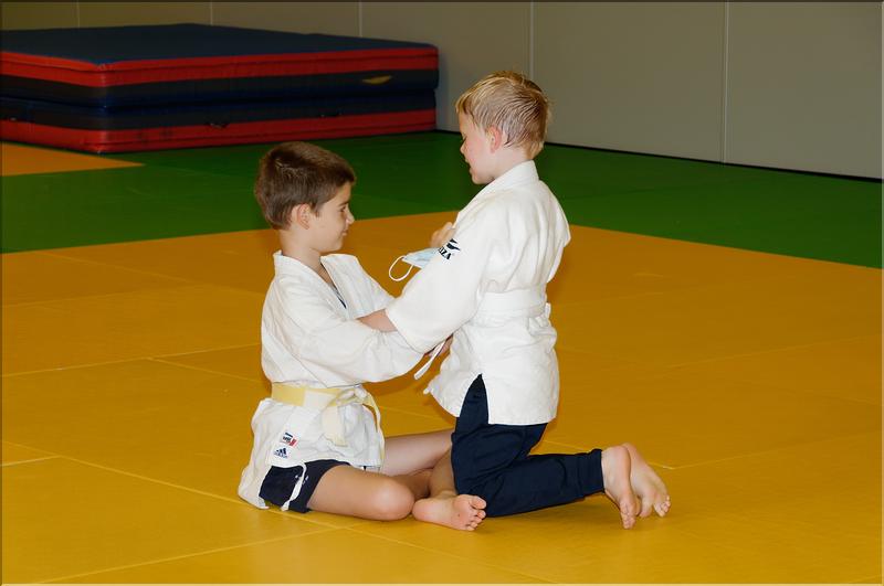 dojo (2)