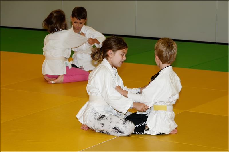 dojo (3)