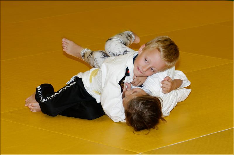 dojo (4)