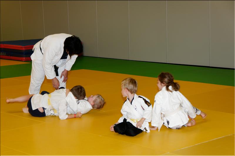 dojo (5)