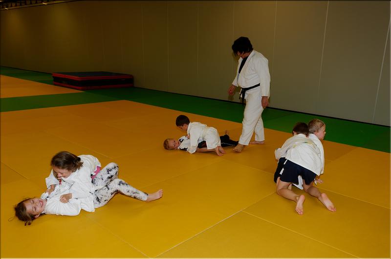 dojo (8)