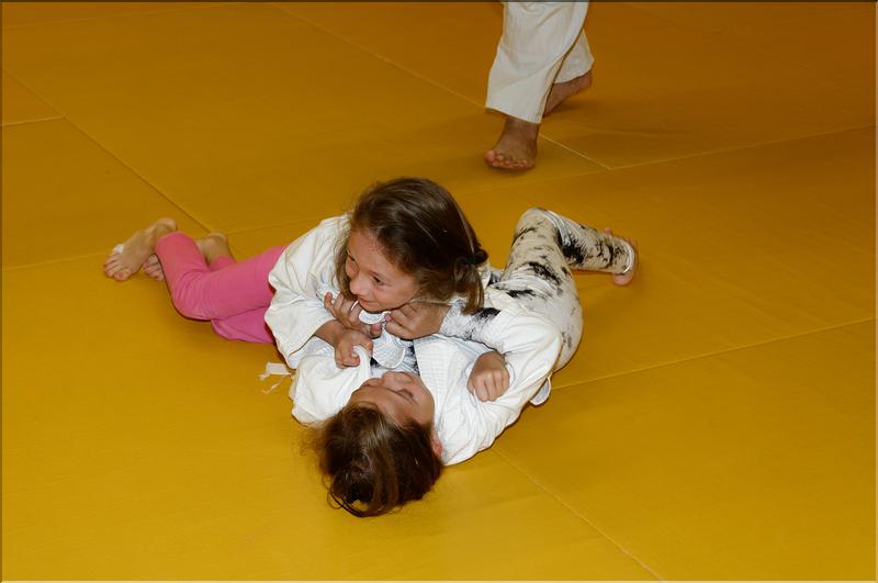 dojo (10)
