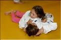 dojo (12)