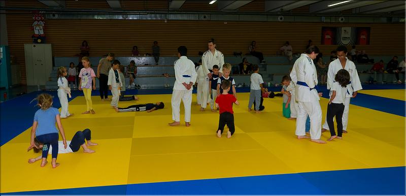 judo (7)