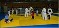 judo (7)