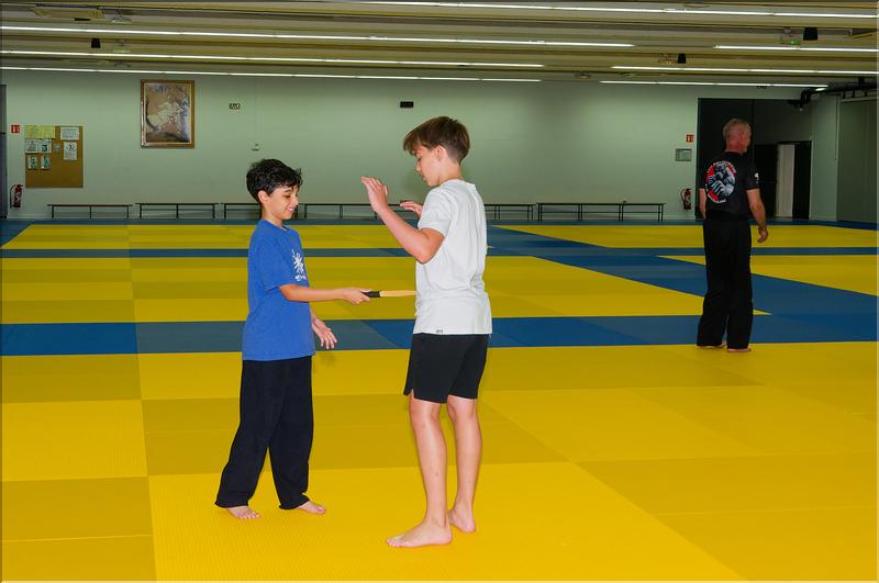 krav maga (2)