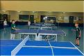 tennis table (2)