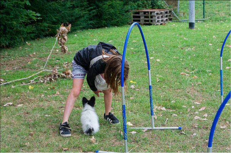 agility (4)