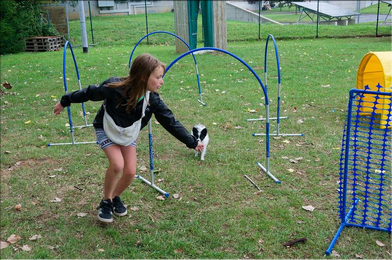 agility (5)