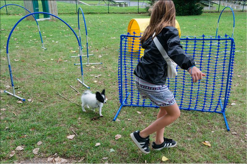 agility (6)