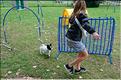 agility (6)