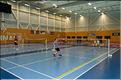 badminton (1)