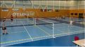 badminton (2)