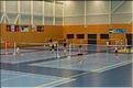 badminton (6)