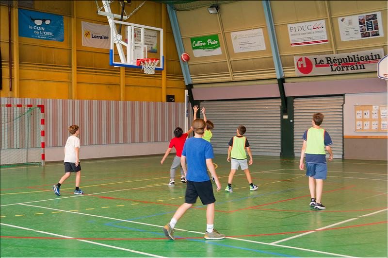 basket (1)