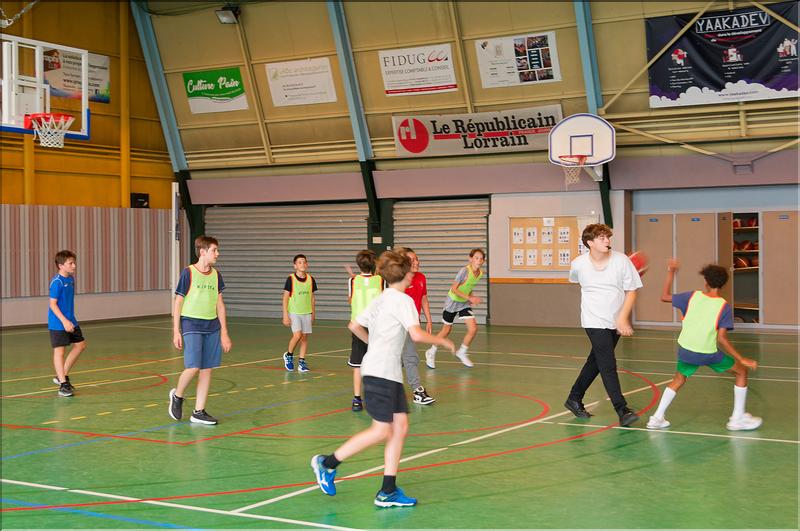 basket (3)