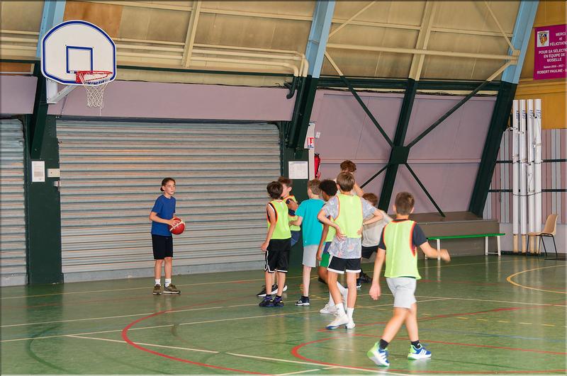 basket (6)