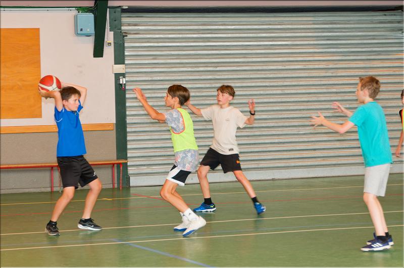 basket (7)