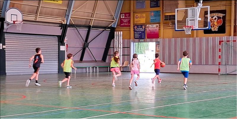 basket (14)
