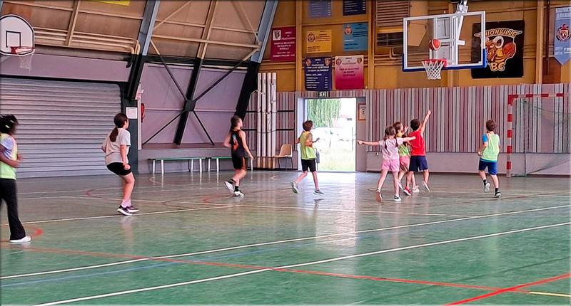 basket (15)