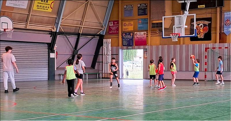 basket (16)